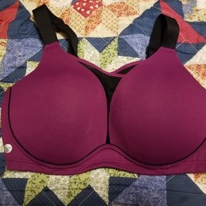 Lane Bryant sports bra